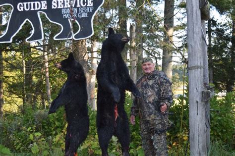 Bear Hunting Update 2018 – Foggy Mountain Guide Service