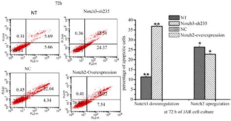 Effect Of Notch2 And Notch3 On Apoptosis Of Jar Cells Fig 6 The Download Scientific Diagram