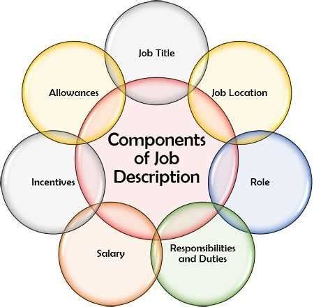 job description  specification