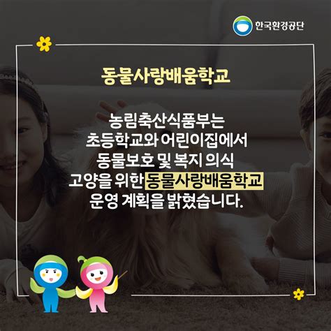 동물 생명 존중과 교감을 배워요 동물사랑배움학교 네이버 포스트