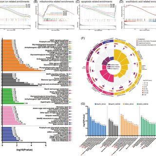 The Analysis Of Transcriptomics Proteomics And Metabolomics Ctrl Vs