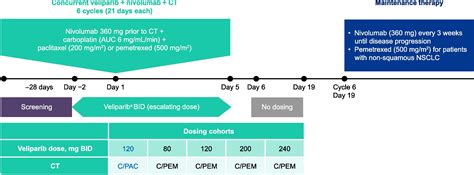 Veliparib And Nivolumab In Combination With Platinum Doublet