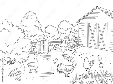 Farm Bird Yard Graphic Black White Landscape Sketch Illustration Vector