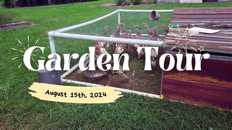 Mid August Garden Tour Come Check Out Our Hot Mess Of A Garden