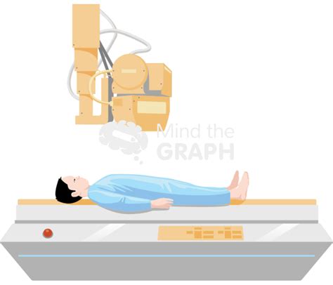 X Ray
