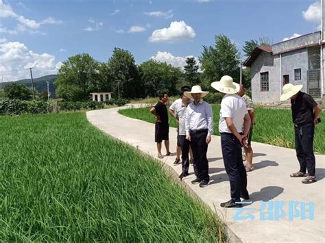 市农业农村局赴新宁调研督导抗旱救灾工作 图片新闻 市农业农村局