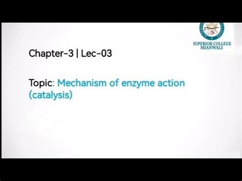 Mechanism Of Enzyme Action Models Of Enzyme Action Induced Fit