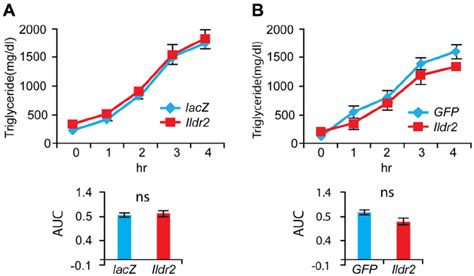 Tg Secretion Analysis In Adkd And Adox Wt Mice Chow Fed 10 Week Old Download Scientific