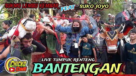 Kirab Bantengan Nawasena Suko Joyo Feat Sukmo Lembu Kembar Live