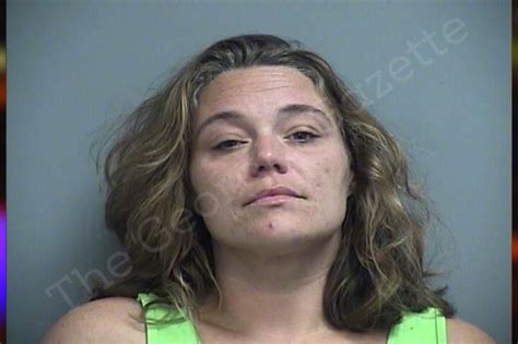 Kimberly Rahn Effingham County Jail Bookings