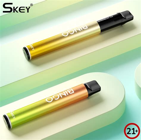 Skey Bingo New Disposable Vape Rechargeable Replaceable Pre Filled Pod