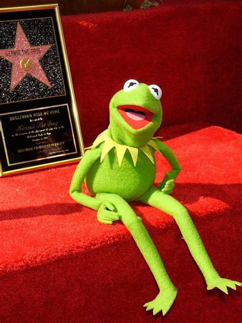 The Hollywood Walk of Fame | Muppet Wiki | Fandom