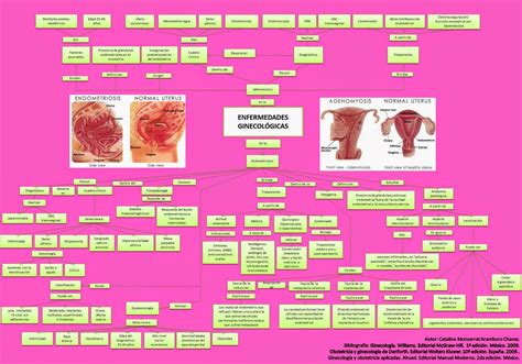 Evidencias De Gínecologia 2014 40 Mapa Conceptual Tema Endometriosis Y Adenomiosis