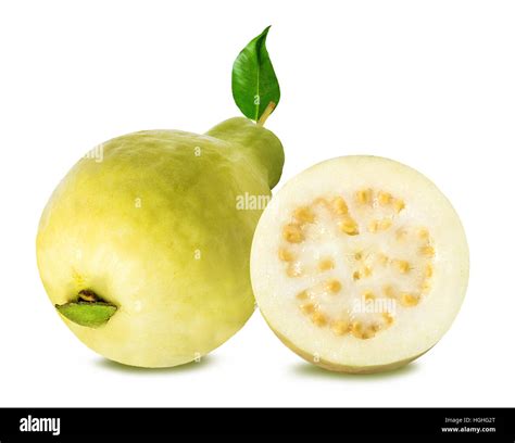 Guava Isolated On White Background Stock Photo Alamy