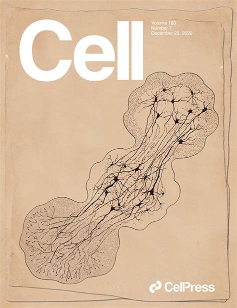 科学与艺术的结合！《cell》100张期刊封面鉴赏｜2020年篇 知乎