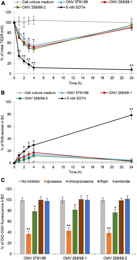 Frontiers Translocation Of Outer Membrane Vesicles From