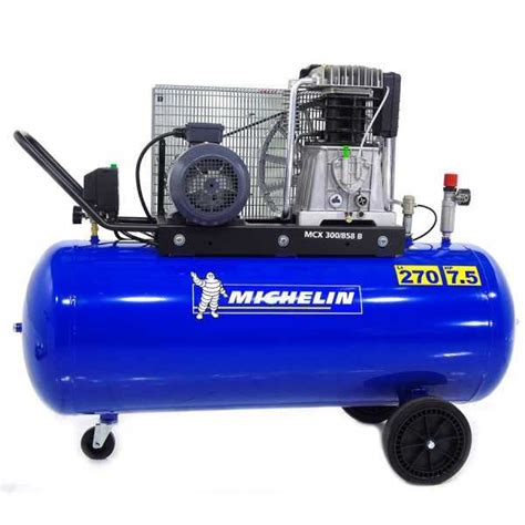 Compressori Aria Elettrici Michelin In Vendita Offerte