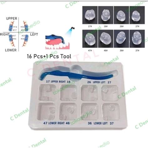 Jual Dental Occlusal Molar Stamp Mold Reshaping Gigi Posterior Rahang