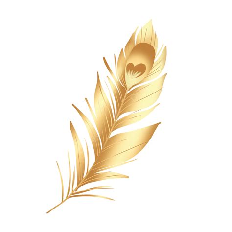 Plumas De Ave Png Dorado Aves Pluma Png Y Psd Para 53 Off