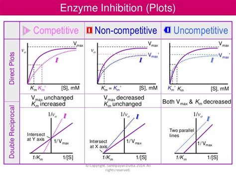 competitive vs noncompetitive inhibition km vmax - Google Search | Nursing student tips, Biology ...