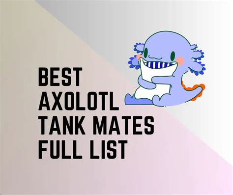 Axolotl Tank Mates [15 Best and 9 Worst] - Amphibian Life