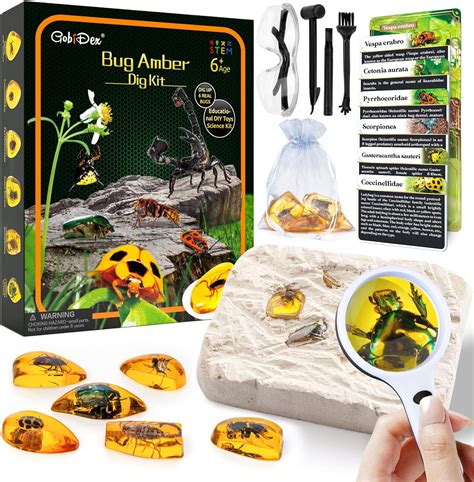 Amber Dig Kit Artificial Insect Resin Excavate 6 Insects Specimens Stem Geographic Educational