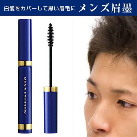 今だけポイント10倍 ビナ メンズ眉墨 ブラック アイブロウ 眉毛 メンズコスメ 男性用 化粧品 白髪隠し Nc11575010カノン