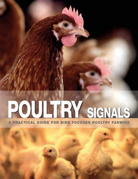 Poultry Books: 10 Best Books On Poultry Farming | Vetworks