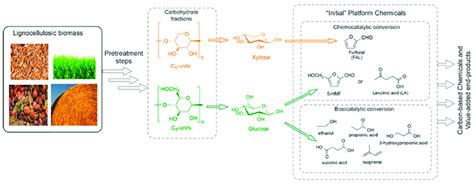 Biorefining Scheme For The Upgrading Of Lignocellulosic Biomass Into