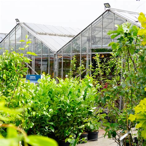 Garden Centre – Langton Greenhouse