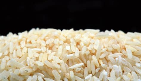 Hybrid rice seeds stock photo. Image of chinese, food - 17564178