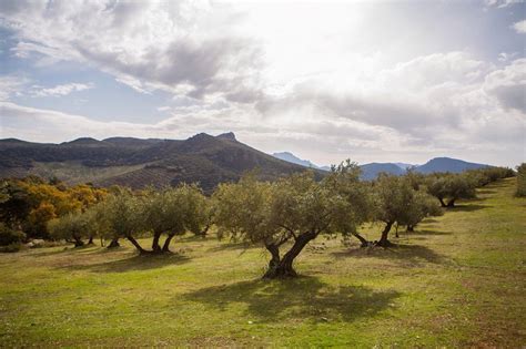 Asaja Asaja Clm Pide A La Consejer A De Agricultura Que Aclare La