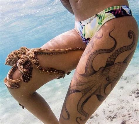 Arriba Foto Tatuaje De Pulpo En El Trasero Cena Hermosa