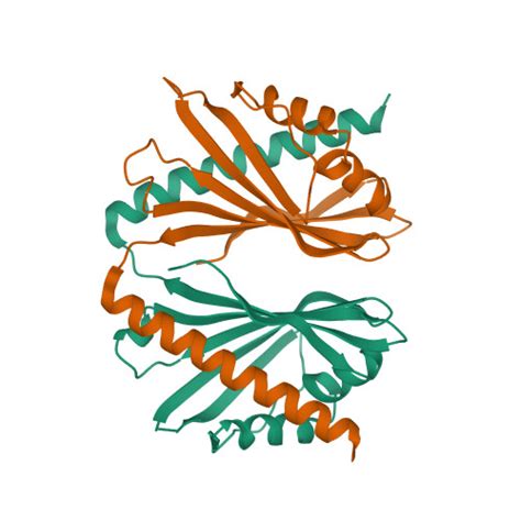 Rcsb Pdb 5yqq Crystal Structure Of A Domain Swapped Dimer Of The