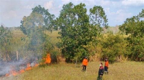 Titik Hotspot Terdeteksi Di Banyuasin Selama Juli Pemkab