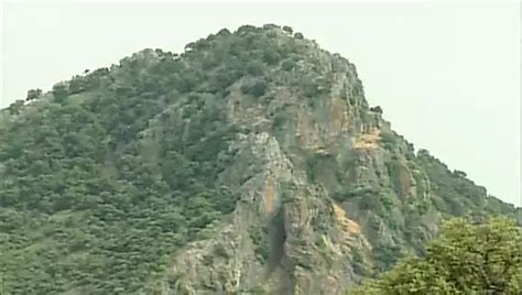 Rocky Oliveira Gay Porn Videos Porn Star Sex Scenes Xhamster