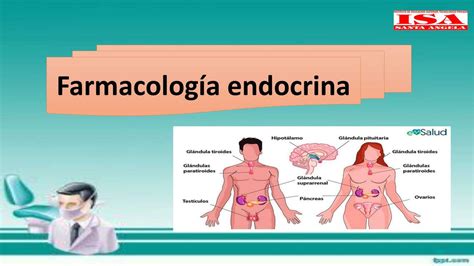 Farmacología Endocrina randy jamil tenorio cubas uDocz