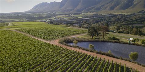 Top Wine Farms in Stellenbosch | Wine in the Cape