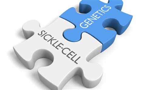 Community Perspectives on PGT for Sickle Cell Disease | Sharing Healthy ...