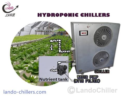 The Benefits Of Adding A Water Chiller To Your Hydroponics System As