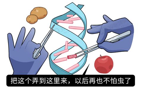 转基因食物这么健康，为什么虫子吃了会死？生物探索