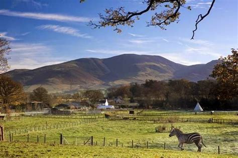 Lake District Wildlife Park, Keswick