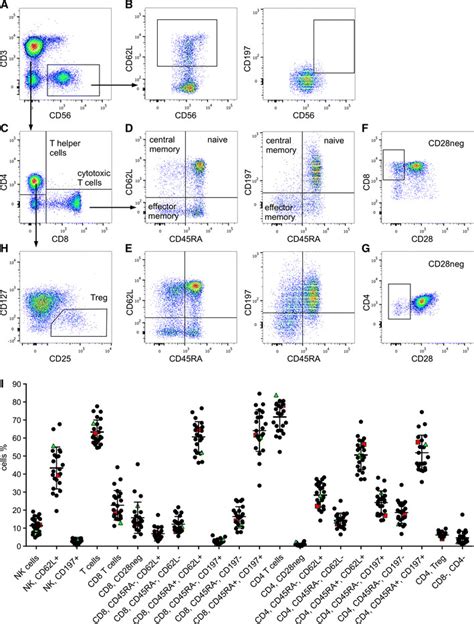 T Cell Subpopulations A Nk And T Cells Were Separated By Cd3 And Cd56