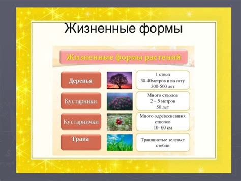 Отдел Покрытосеменные растения. Особенности организации и происхождение ...