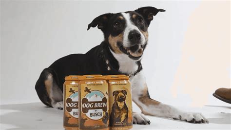 Busch For Dogs Anheuser Busch Debuts New Turkey Dog Brew