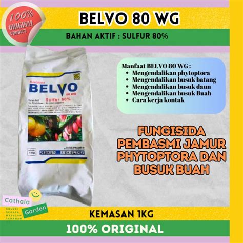 BELVO 80 WG SULFATRIX 80 WP KEMASAN 1 KG FUNGISIDA SULFUR 80