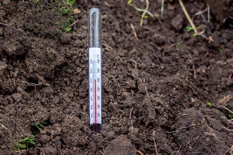 Medici N De La Temperatura Del Suelo El Term Metro Muestra La