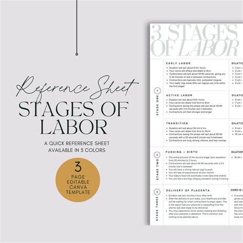 Stages Of Labor Reference Sheet Editable Labor Phases Template