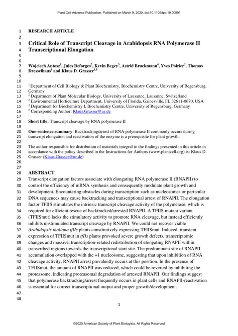 PDF Critical Role Of Transcript Cleavage In Arabidopsis RNA