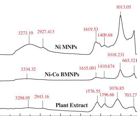 Ftir Spectrum Of Ni Nps And Ni Co Bmnps Download Scientific Diagram